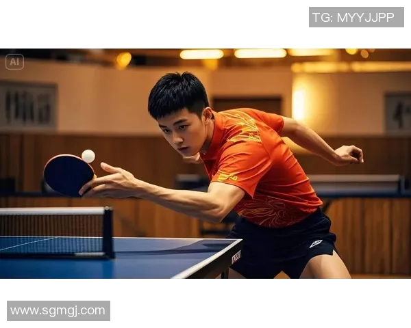 乒乓球的梦想与坚持：杭州乒乓球队成长历程的真实记录与感悟